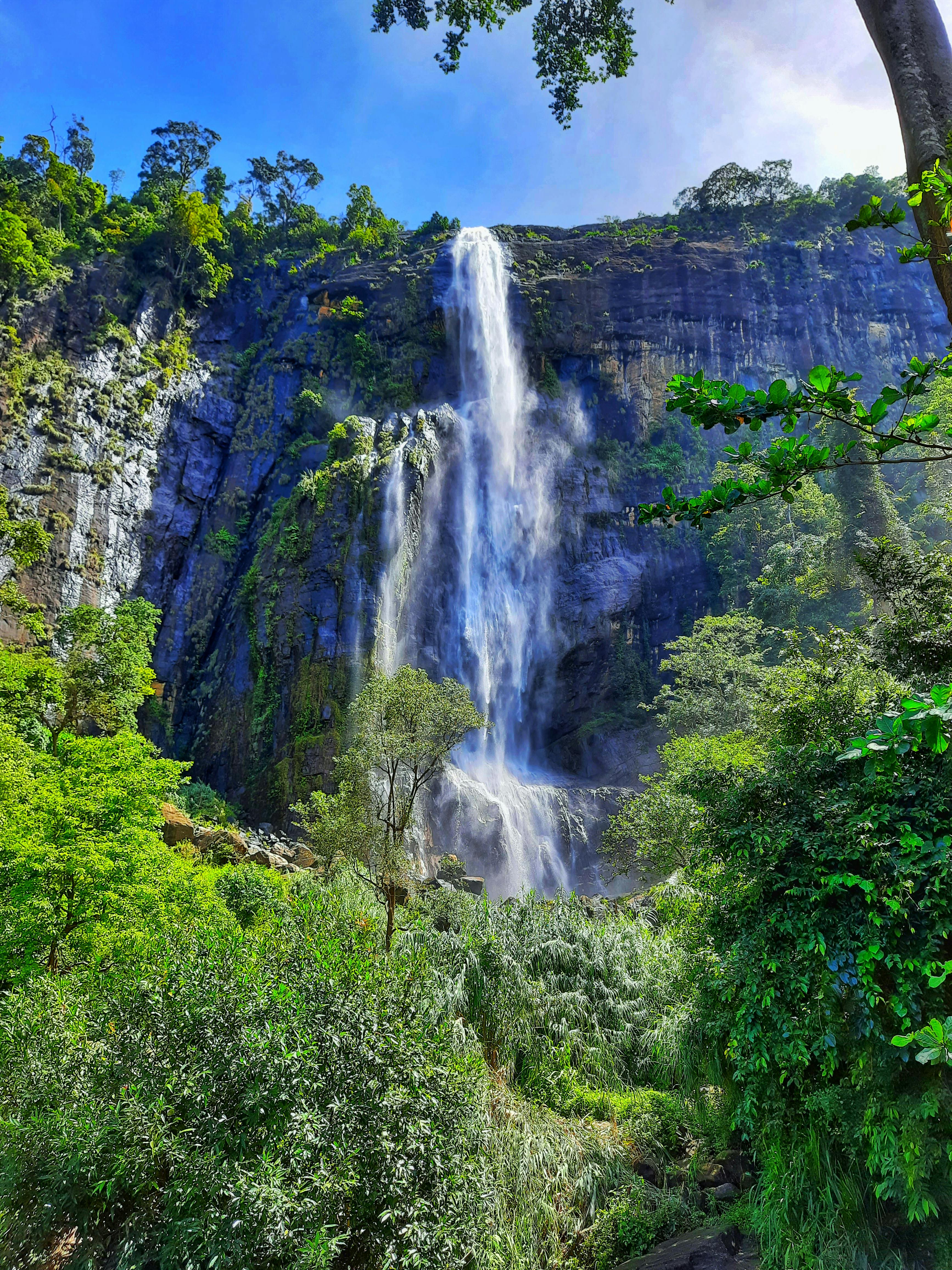 Diyaluma Falls cascading through lush jungle