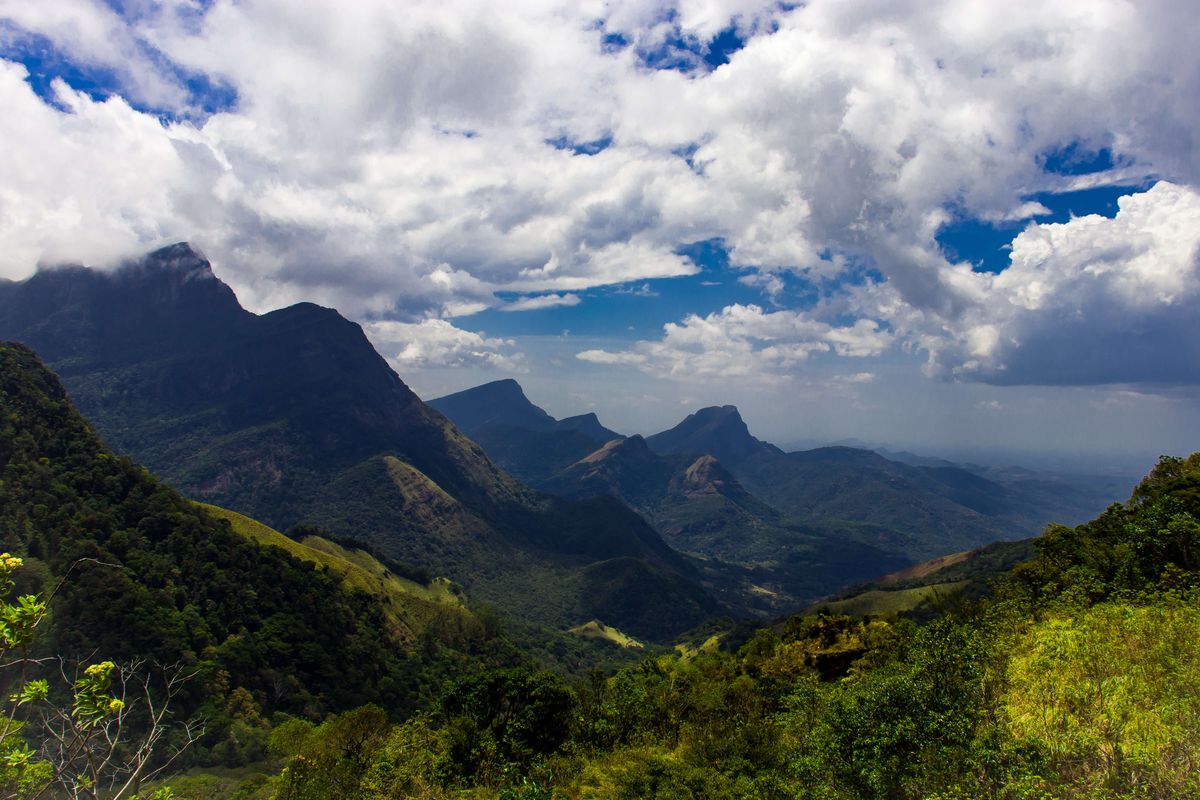 Knuckles Mountain Range Hiking