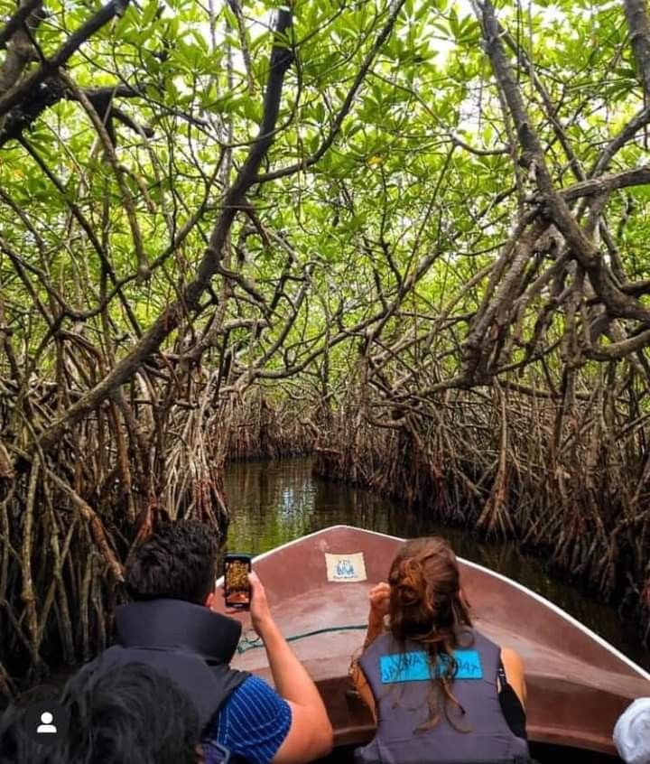 Madu River Safari gallery 1