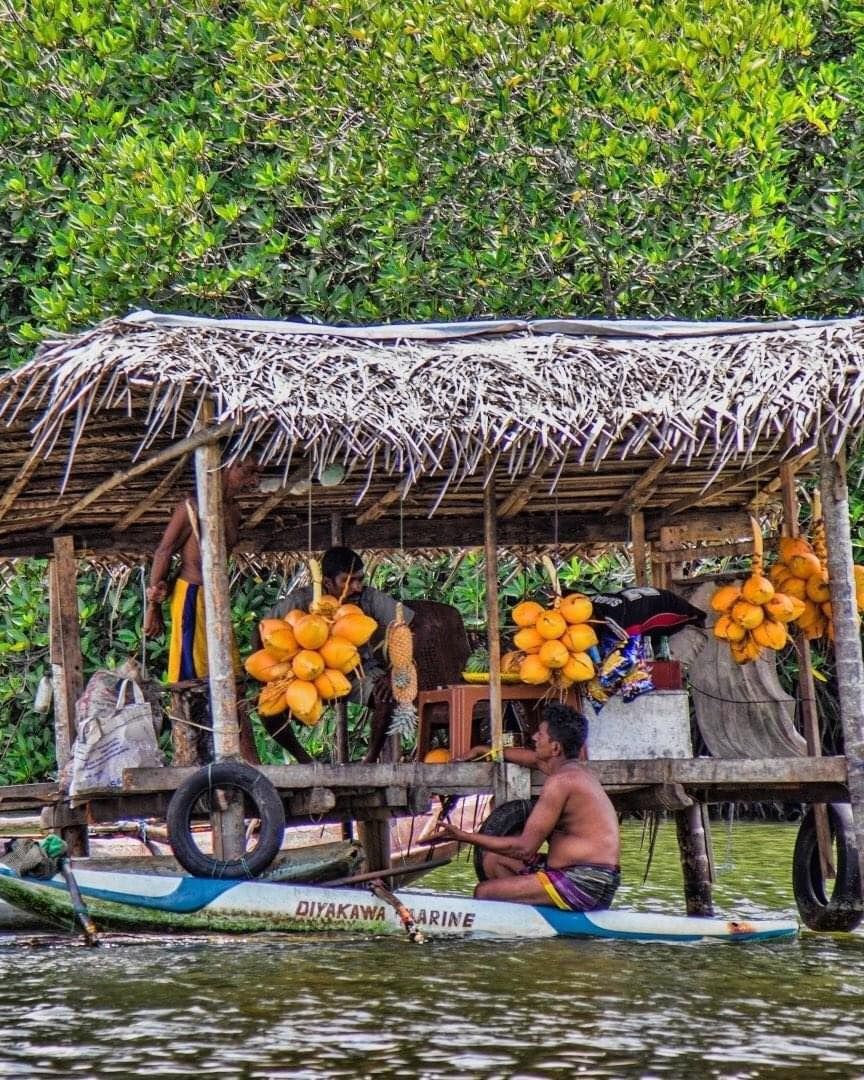 Madu River Safari gallery 3