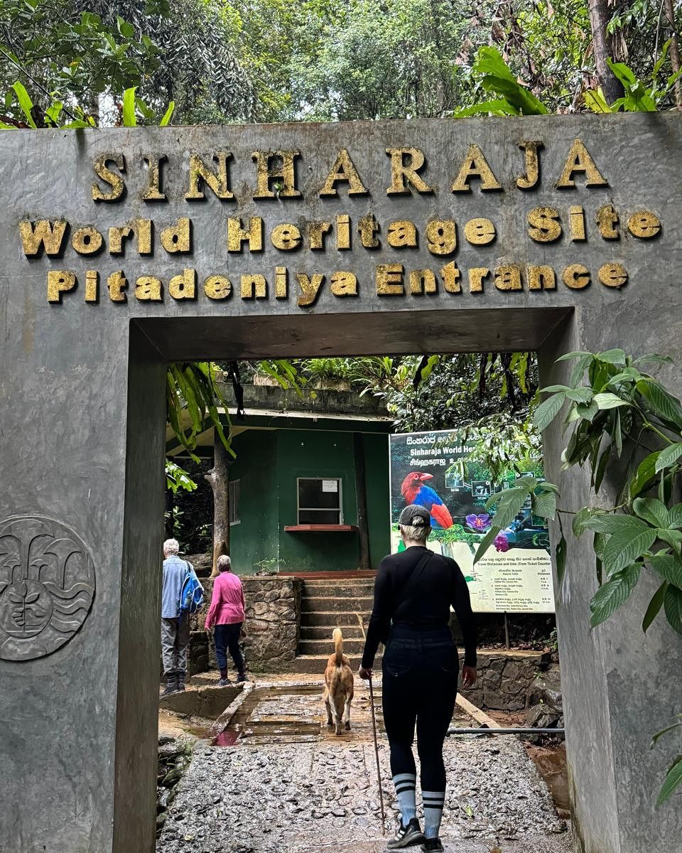 Sinharaja Rainforest Trail
