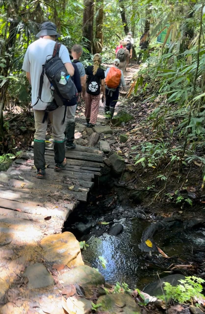 Sinharaja Rainforest Trail gallery 3