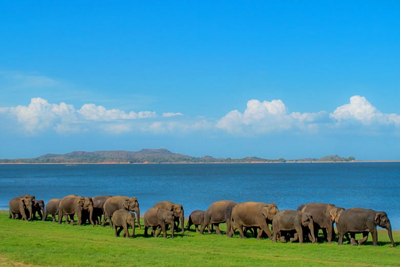 Sri Lanka Wildlife & Nature Expedition gallery 1